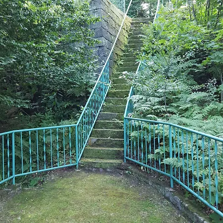 Отель Burg Schoena - In A National Park Reinhardtsdorf-Schona