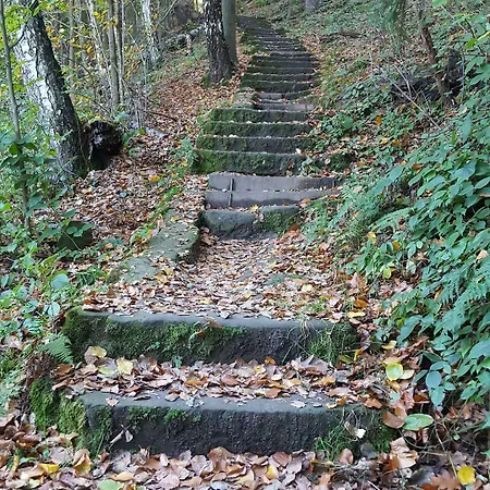 Burg Schoena - In A National Park 3*