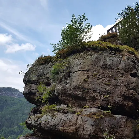 Burg Schoena - In A National Park Reinhardtsdorf-Schona
