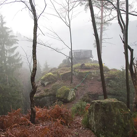 Отель Burg Schoena - In A National Park Reinhardtsdorf-Schona