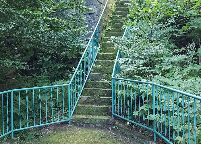 מלון Burg Schoena - In A National Park Reinhardtsdorf-Schona