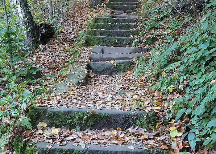 Burg Schoena - In A National Park 3*